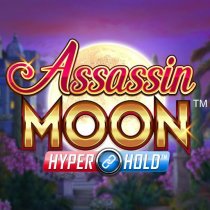 Laro Assassin Moon Assassin Moon