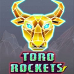 Game Toro Rockets online Maglaro Toro Rockets